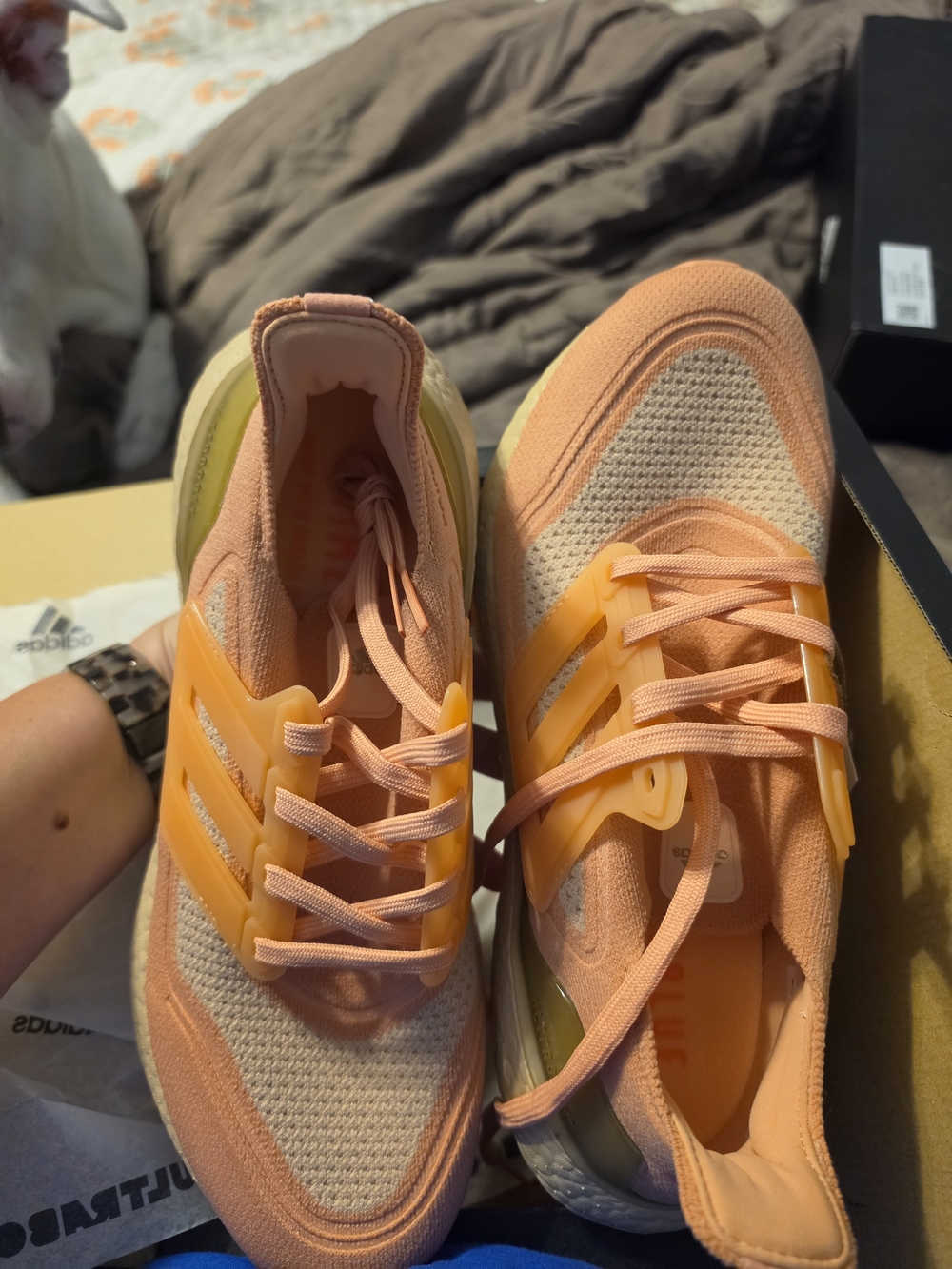 Adidas Ultraboost